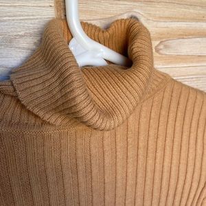 Beige Ribbed Turtle Neck